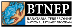 BTNEP Website Logo
